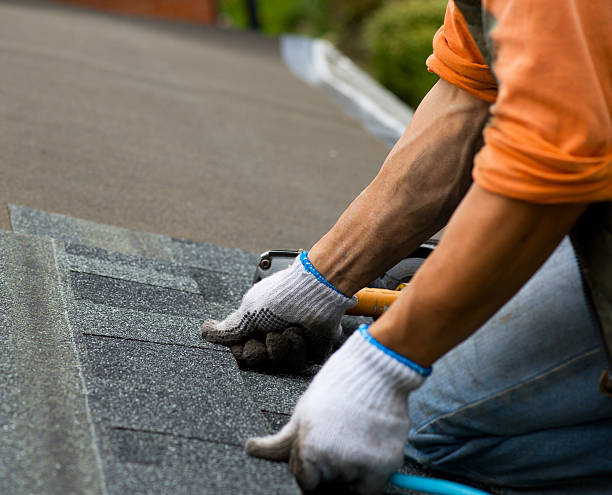Best Roof Gutter Cleaning  in Solvay, NY